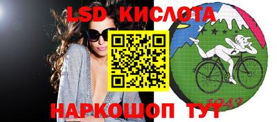 гашик Гатчина