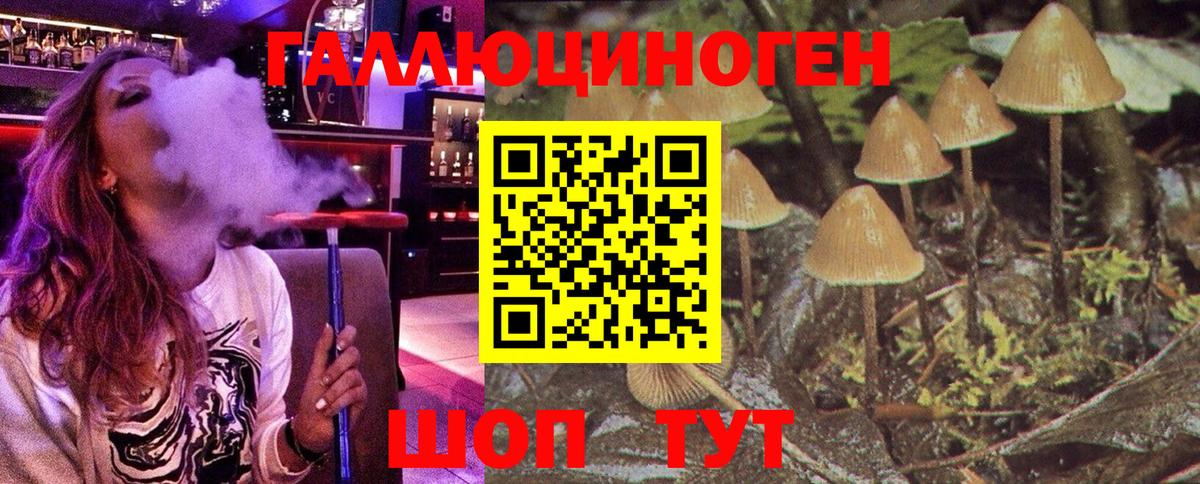 Псилоцибиновые грибы Magic Shrooms  Вход с VPN  Кизляр 